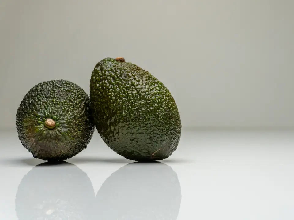 Dos aguacates Hass enteros de piel rugosa verde muy oscuro sobre una superficie blanca que refleja su silueta.
