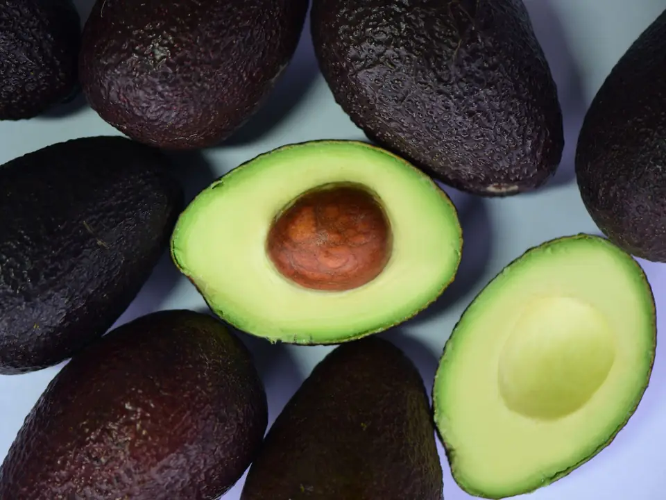 Aguacates Hass maduros de piel rugosa morado oscuro junto a dos mitades abiertas de pulpa verde amarilla, una de ellas con su hueso.